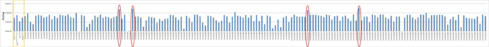 K-562 Cell Avalanche™ Transfection Reagent (human leukemia cell) product image