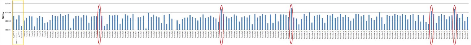 Malme-3M Cell Avalanche® Transfection Reagent (human melanoma cell) product image