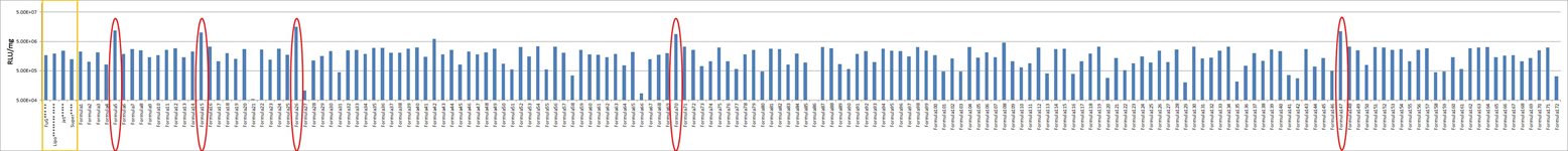 MOLT-4 Cell Avalanche™ Transfection Reagent (human leukemia cell) product image