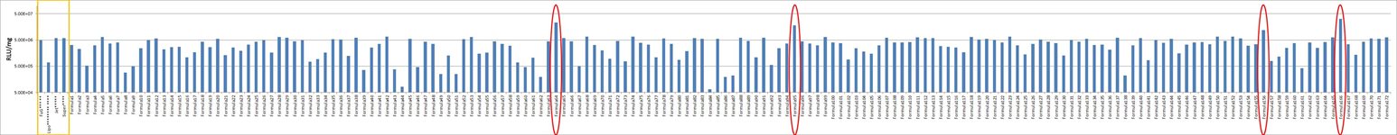 NCTC Clone 929 Cell Avalanche™ Transfection Reagent product image
