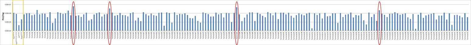 NTERA-2 cl.D1 Cell Avalanche™ Transfection Reagent (human testis carcinoma cell) product image