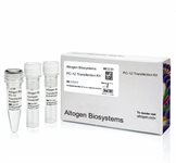 PC-12 Cell Avalanche™ Transfection Reagent (rat pheochromocytoma cell) product image