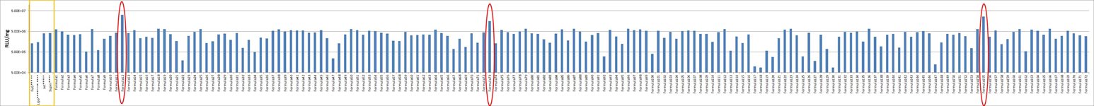 RBL-2H3 Cell Avalanche™ Transfection Reagent (rat leukemia cell) product image
