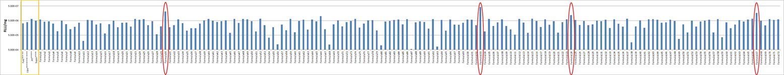 SK-MEL-5 Cell Avalanche® Transfection Reagent (human melanoma cell) product image