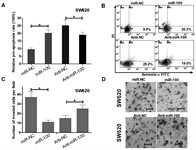 SW620 Cell Avalanche™ Transfection Reagent (human colon adenocarcinoma cell) product image