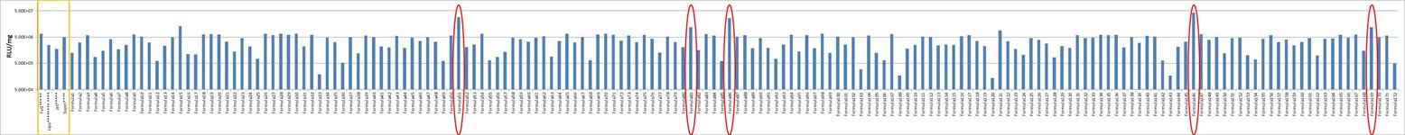 T47D Cell Avalanche® Transfection Reagent (human breast carcinoma cell) product image
