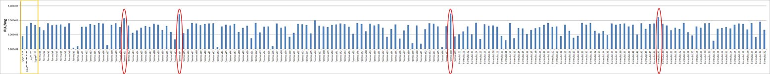 U-937 Cell Avalanche™ Transfection Reagent (human lymphoma cell) product image