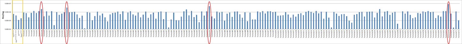 UO-31 Cell Avalanche® Transfection Reagent (human kidney carcinoma cell) product image