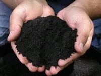 Exgene&trade; Soil SV  product image