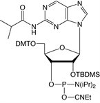 2-Aminopurine-TBDMS-CE Phosphoramidite product image