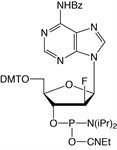 2'-F-ANA CE Phosphoramidites product image