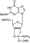 2'-F-G-CE Phosphoramidite product image