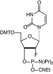 2'-F-U-CE Phosphoramidite product image