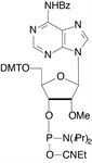 2'-OMe-A-CE Phosphoramidite product image