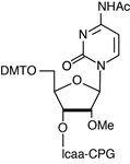 2'-OMe-Ac-C-RNA-CPG product image