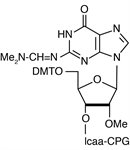 2'-OMe-G-RNA-CPG product image