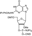 2'-OMe-iPr-Pac-G-CE Phosphoramidite product image