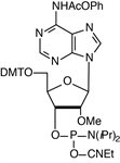 2'-OMe-Pac-A-CE Phosphoramidite product image