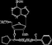 2’-OMe-Thiophosphoramidites product image