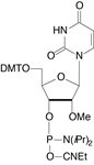 2'-OMe-U-CE Phosphoramidite product image