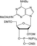 2,6-Diaminopurine-TOM-CE Phosphoramidite product image