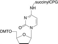 2',3'-ddC-CPG product image