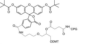 3'-(6-FAM) CPG product image