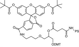 3'-(6-FAM) PS product image