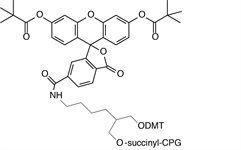 3'-(6-Fluorescein) CPG product image
