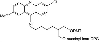 3'-Acridine CPG product image