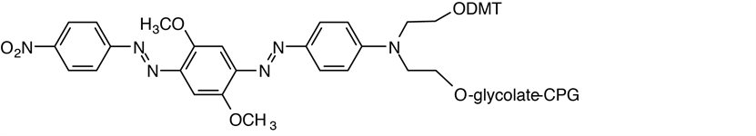 3'-BHQ-2 CPG product image
