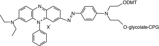 3'-BHQ-3 CPG product image