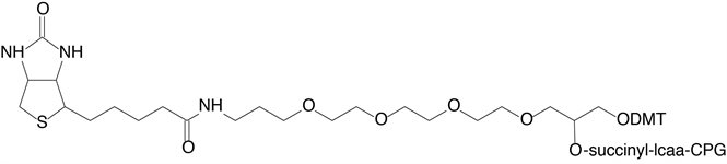 3'-BiotinTEG CPG product image