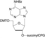 3'-dA-CPG product image