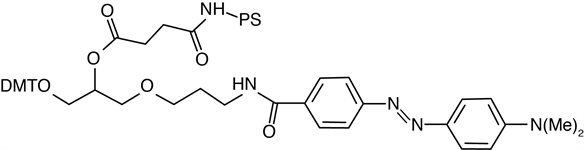 3'-Dabcyl PS product image