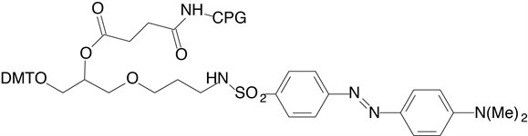 3'-Dabsyl CPG product image