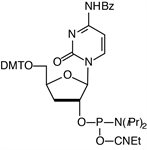 3'-dC-CE Phosphoramidite product image