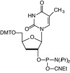 3'-dT-CE Phosphoramidite product image