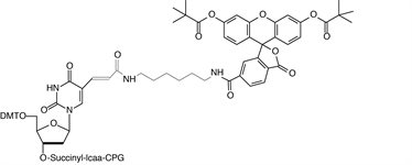 3'-Fluorescein-dT CPG product image