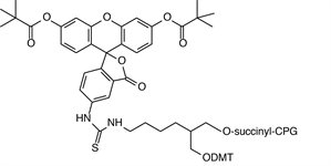 3'-Fluorescein CPG product image