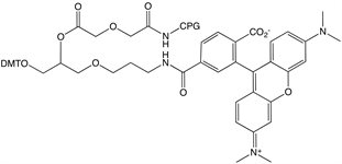3'-TAMRA CPG product image