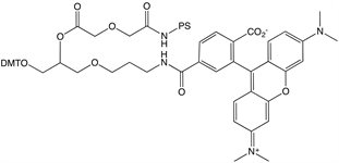 3'-TAMRA PS product image