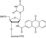 3'-Uaq Cap CPG product image