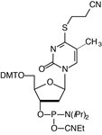 4-Thio-dT-CE Phosphoramidite product image