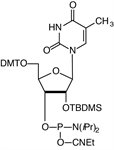 5-Me-U-CE Phosphoramidite product image
