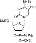5-OH-dC-CE Phosphoramidite product image