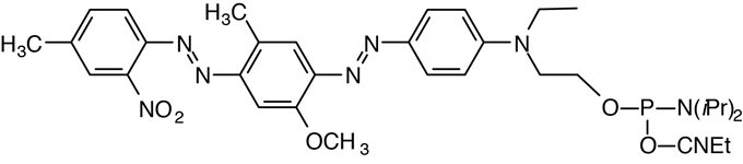 5'-BHQ-1 Phosphoramidite product image
