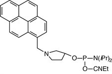 5'-Pyrene Cap Phosphoramidite product image