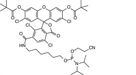 5'-Tetrachloro-Fluorescein Phosphoramidite product image