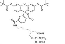 6-Fluorescein Phosphoramidite product image